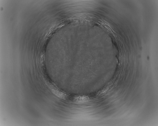 X0000076100503200610152347