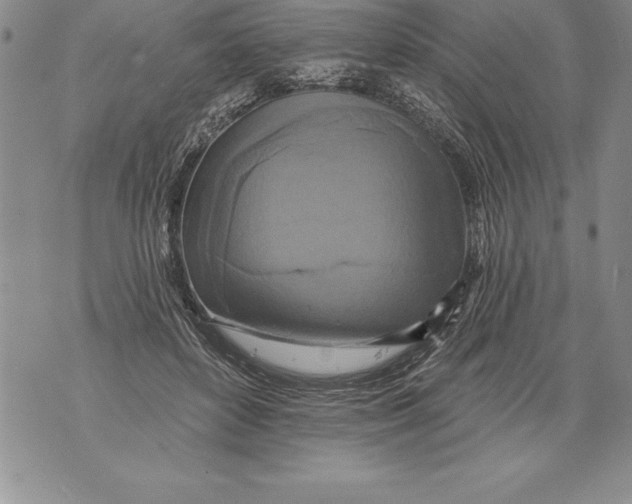 X0000076100504200610152347