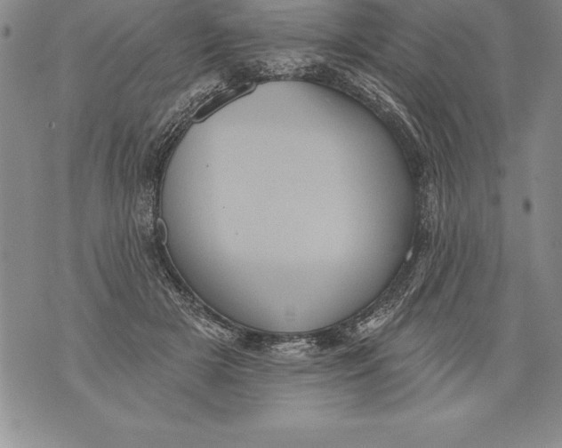 X0000076100505200610152347