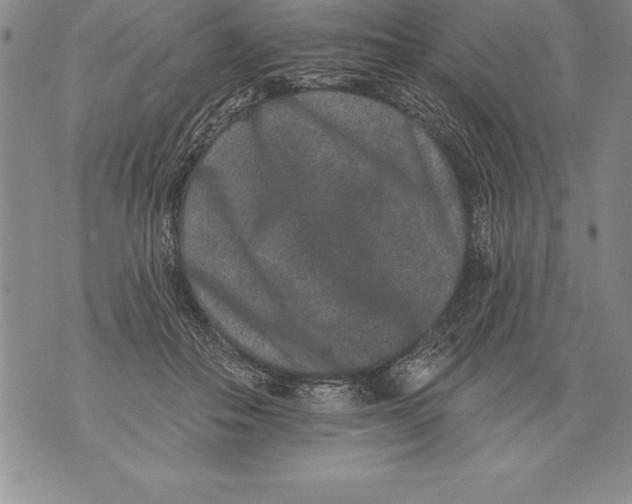 X0000076100506200610152347