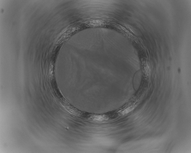 X0000076100507200610152347