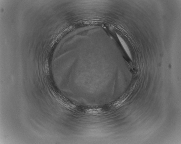 X0000076100508200610152347