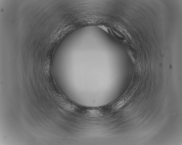 X0000076100509200610152347