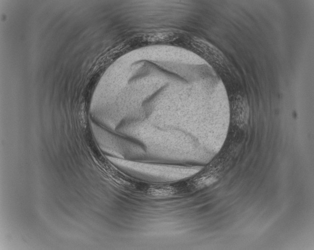 X0000076100510200610152347