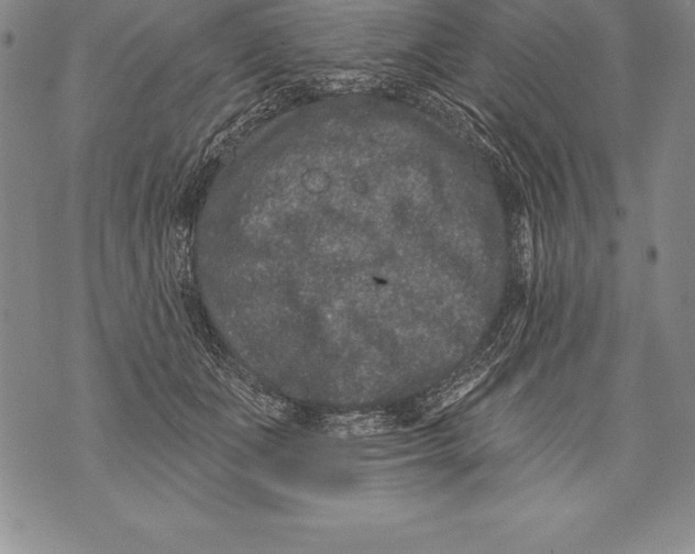 X0000076100511200610152347