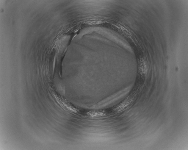 X0000076100512200610152347