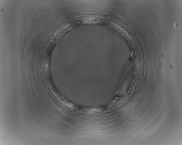 X0000076100513200610152346