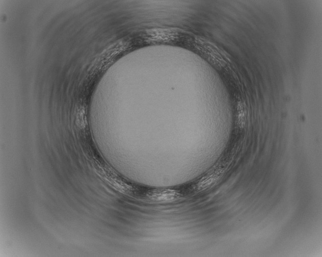 X0000076100514200610152346