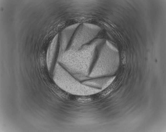 X0000076100515200610152346