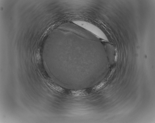 X0000076100516200610152346