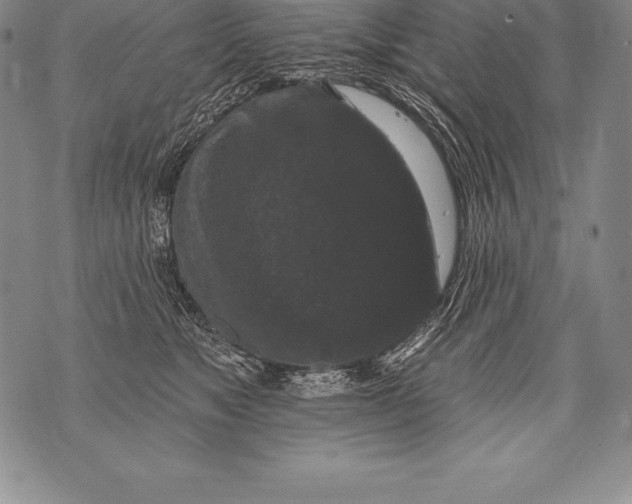 X0000076100517200610152346