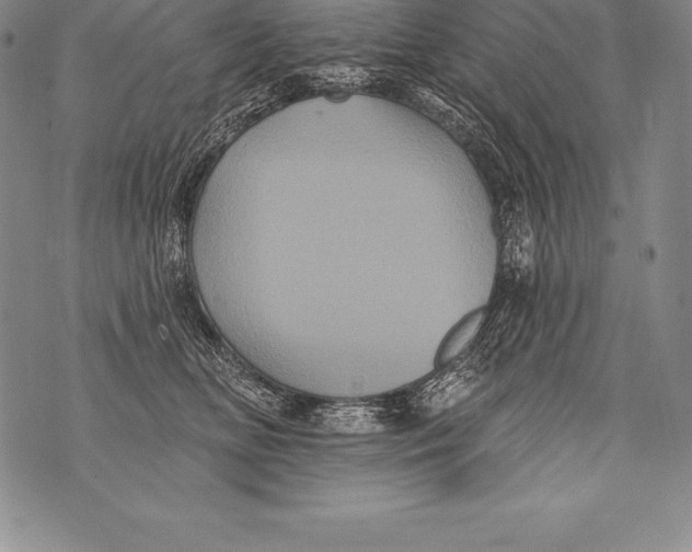 X0000076100518200610152346