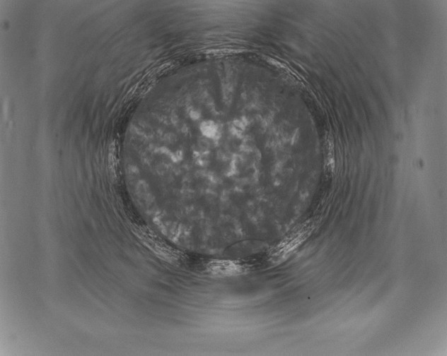 X0000076100519200610152346