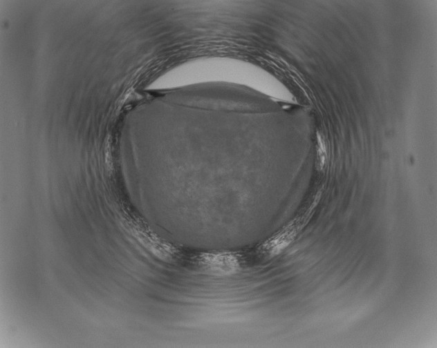 X0000076100520200610152346