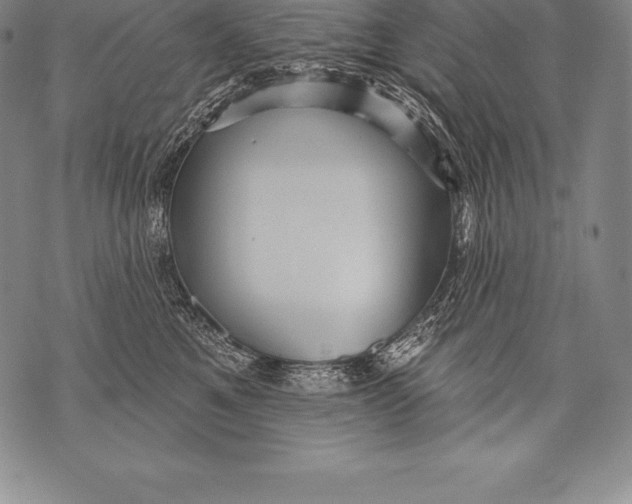 X0000076100521200610152346