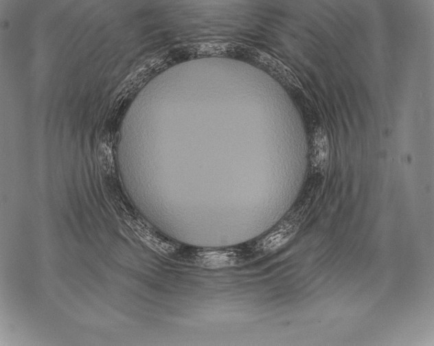 X0000076100522200610152346