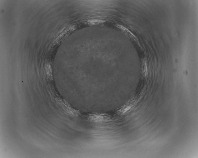 X0000076100523200610152346