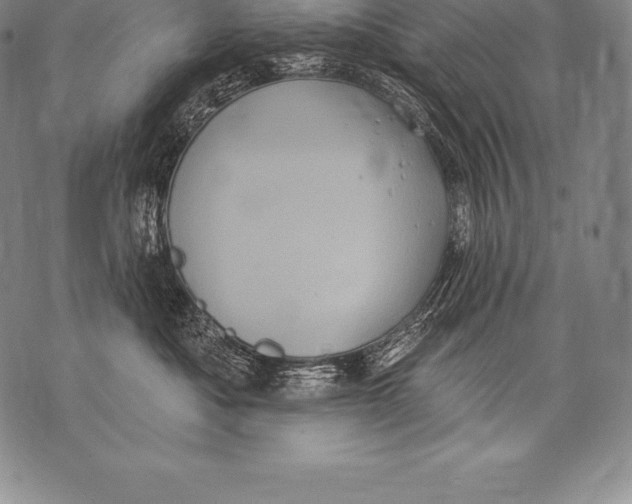 X0000076100525200610152346