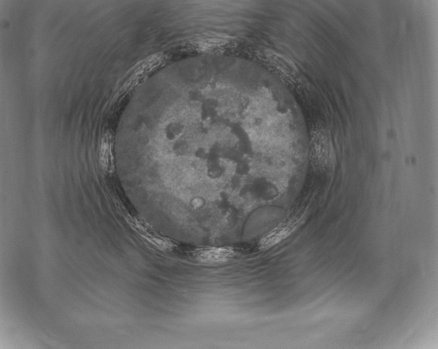 X0000076100527200610152346