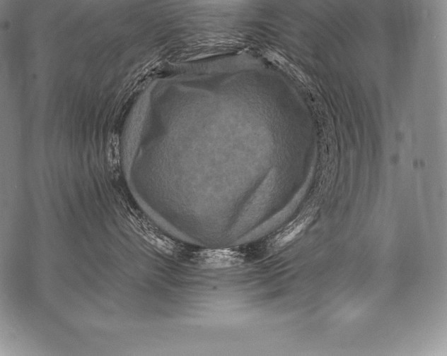 X0000076100528200610152346