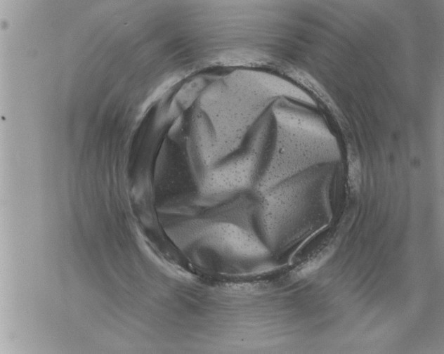 X0000076100530200610152345