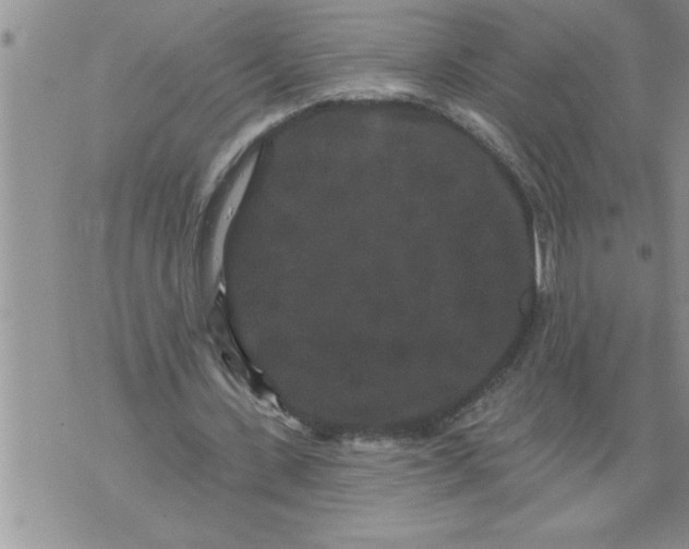 X0000076100531200610152345