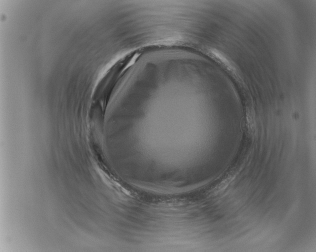 X0000076100532200610152346