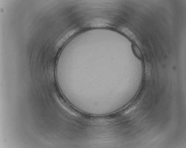 X0000076100533200610152346