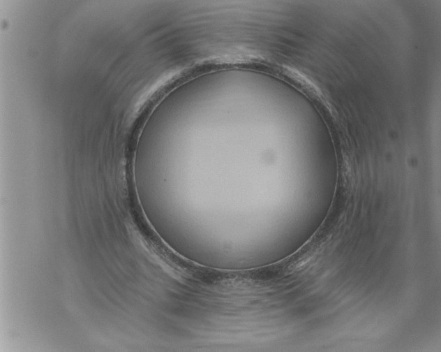 X0000076100535200610152346