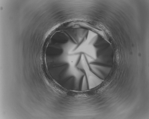 X0000076100536200610152346