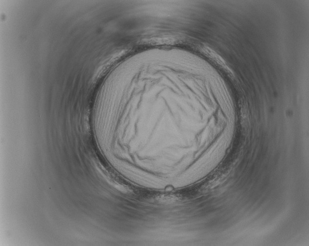 X0000076100537200610152346