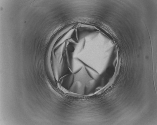 X0000076100538200610152346