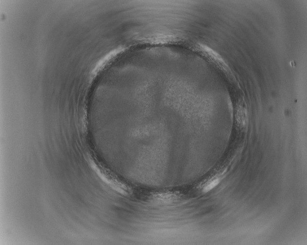 X0000076100540200610152346