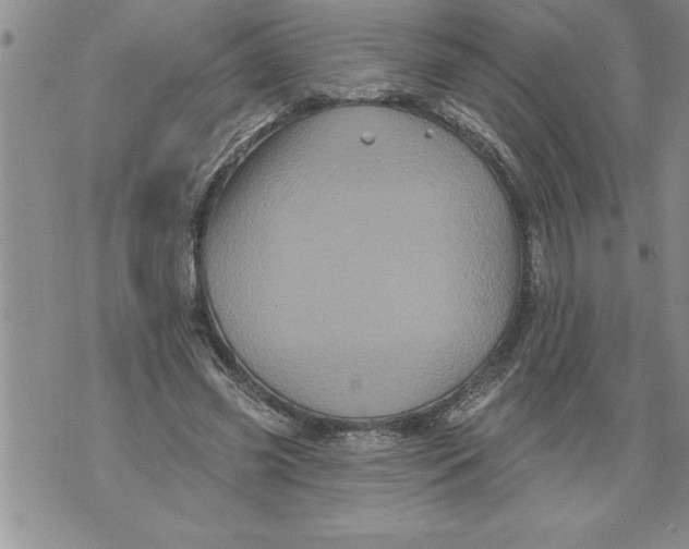 X0000076100541200610152346