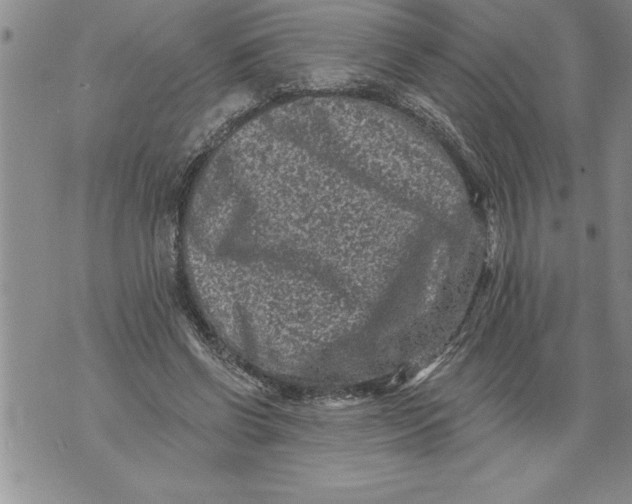 X0000076100542200610152346