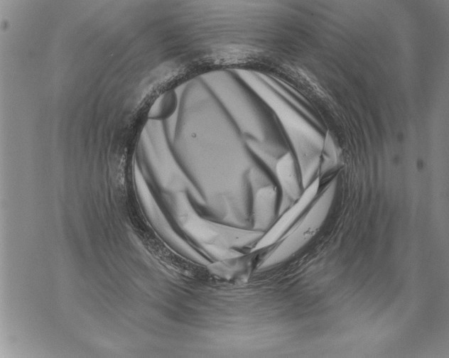 X0000076100543200610152346