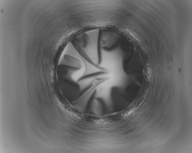 X0000076100544200610152346