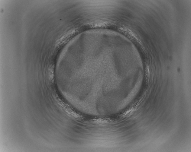 X0000076100545200610152346