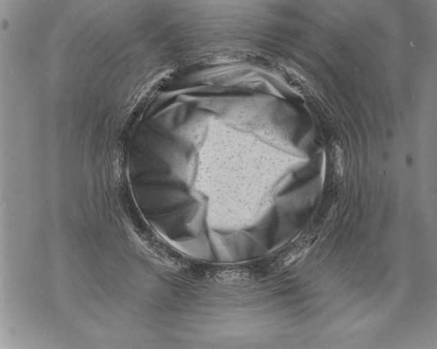 X0000076100546200610152346