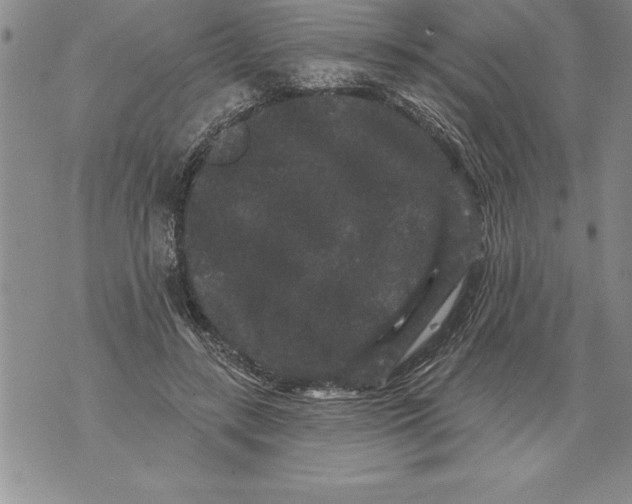 X0000076100547200610152346