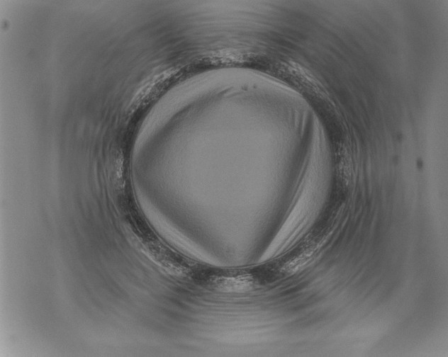 X0000076100548200610152346