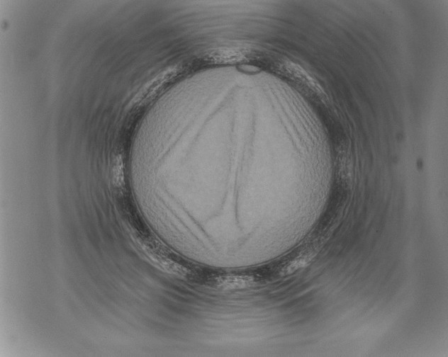 X0000076100549200610152346