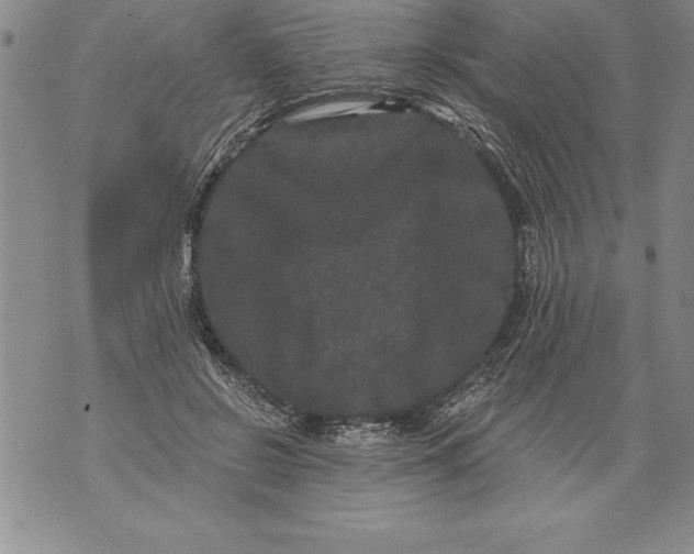 X0000076100550200610152346