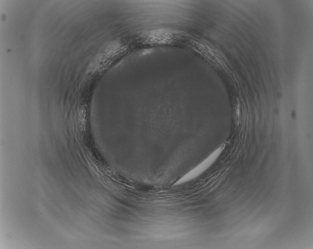 X0000076100551200610152346