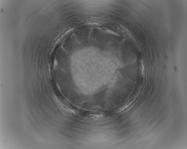 X0000076100552200610152346