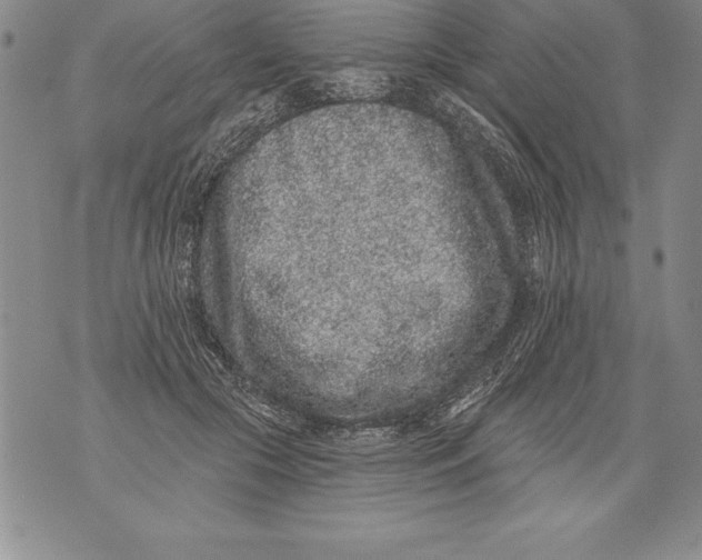 X0000076100553200610152346