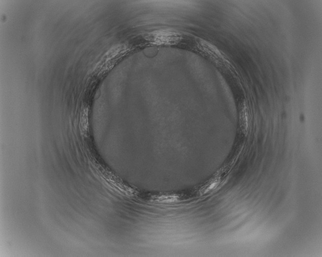 X0000076100554200610152346