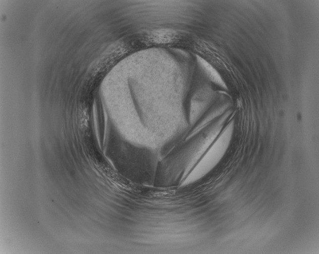 X0000076100555200610152346