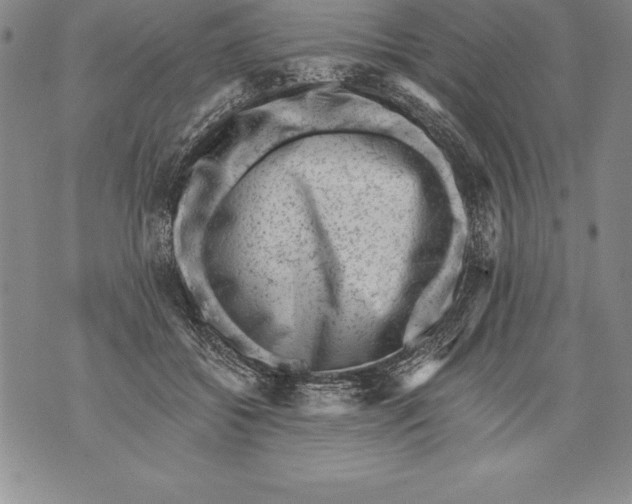 X0000076100556200610152346