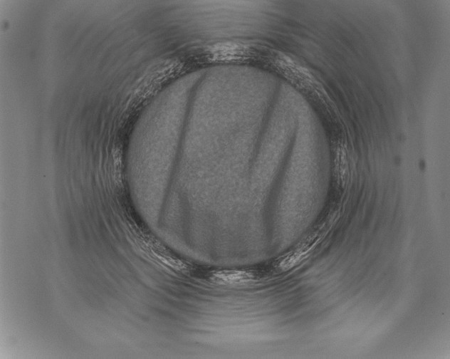 X0000076100557200610152346